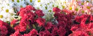 Florists