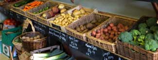 Food Suppliers & Retailers